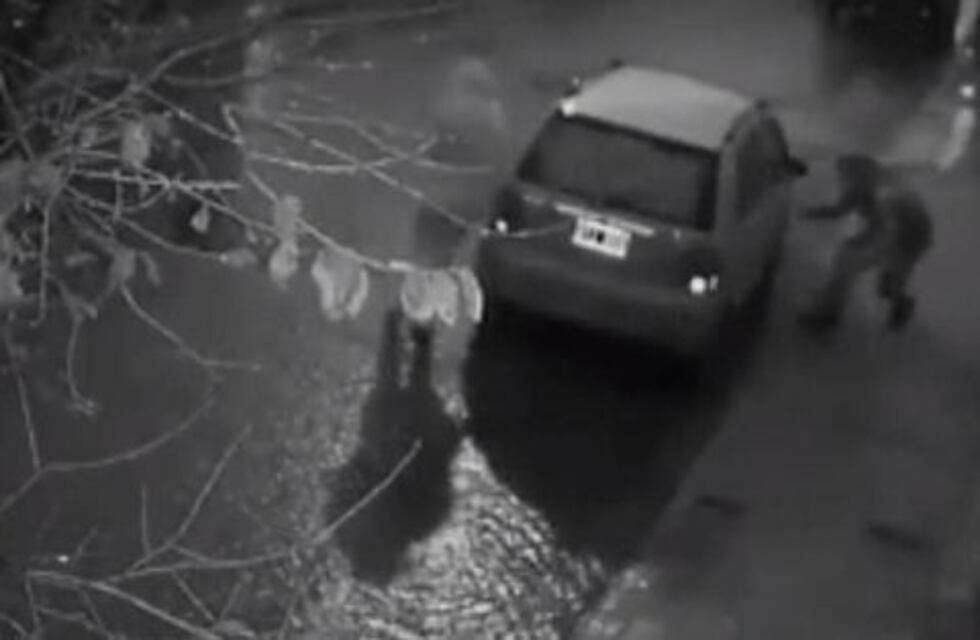 Viralizaron un video que muestra cómo dos motochorros le robaron a una mujer