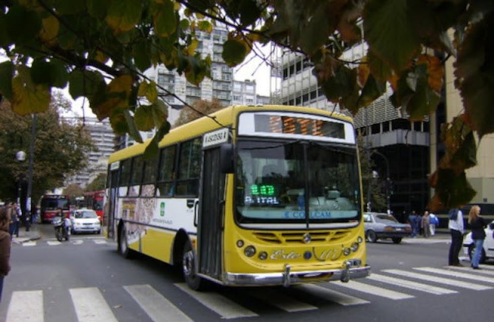 Video: el colectivero de La Plata que sorprende cantando como Leo Mattioli