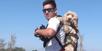 chico con perro Súper TC 2000