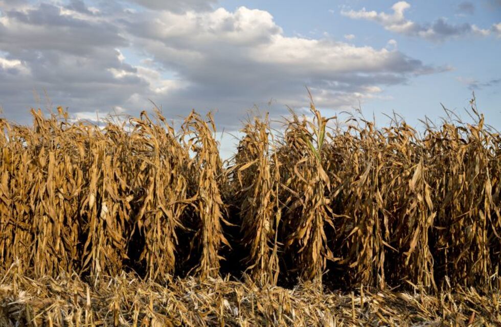 La Mesa de Enlace cordobesa contra la ley de Aporte Solidario