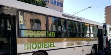 Foto: Luis Solórzano\u002E