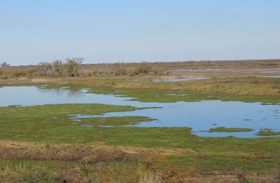Cómo es el plan del empresario rosarino para lotear una parte de las islas de Victoria