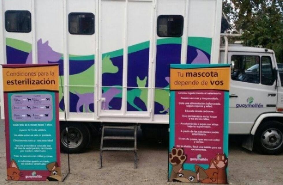 El cronograma de turnos para esterilizaciones gratuitas de perros y gatos en Mendoza