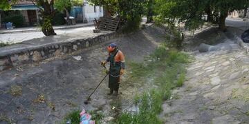 Basura en la calle\u002E (web)