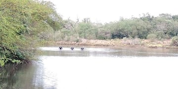 Buzos tácticos se suman a la búsqueda del adolescente de 15 años en San José