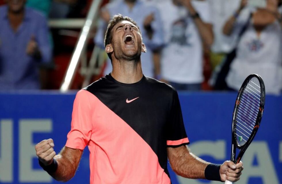 Del Potro eliminó a Thiem y se metió en semis de ATP de Acapulco
