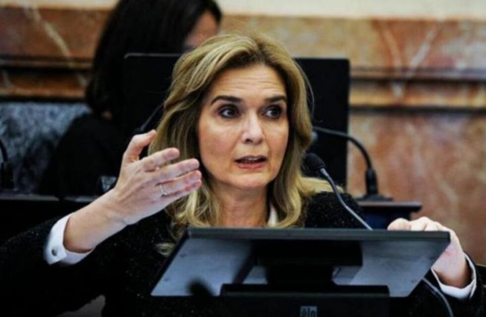 Taparon la imagen de Silvia Elías de Pérez en la Unión Cívica Radical