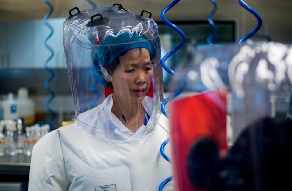 La nueva advertencia de la viróloga china que predijo el coronavirus un año antes de su aparición