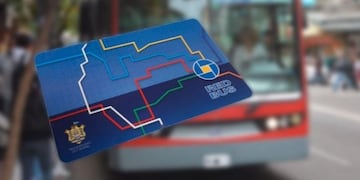 Tarjeta de Red Bus