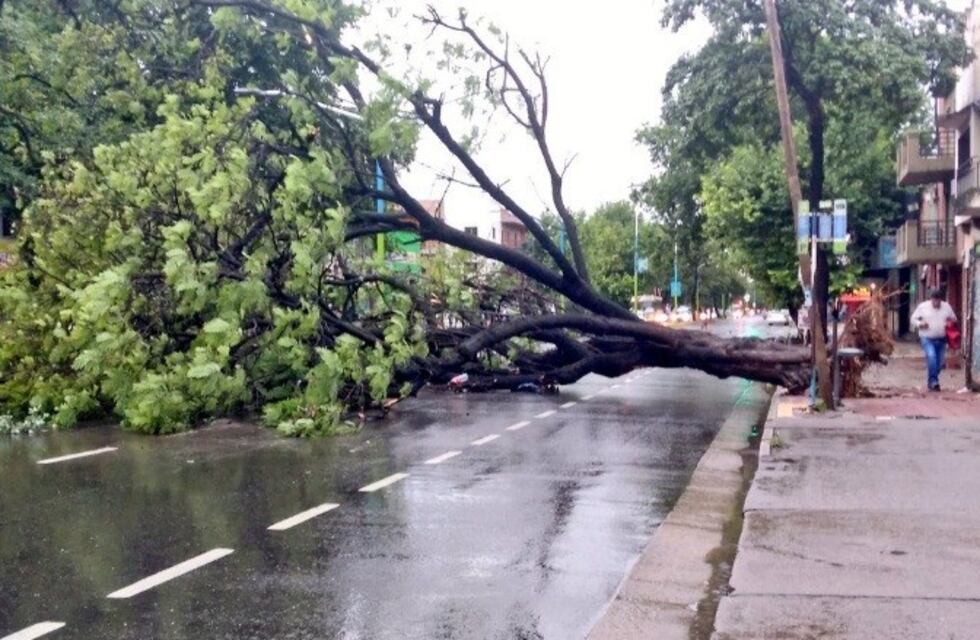El este y noreste fueron las zonas más perjudicadas de la provincia por el paso del temporal