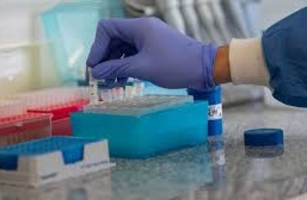 Cuatro nuevos casos de Covid-19 en Córdoba, en otro día con récord de contagios en el país