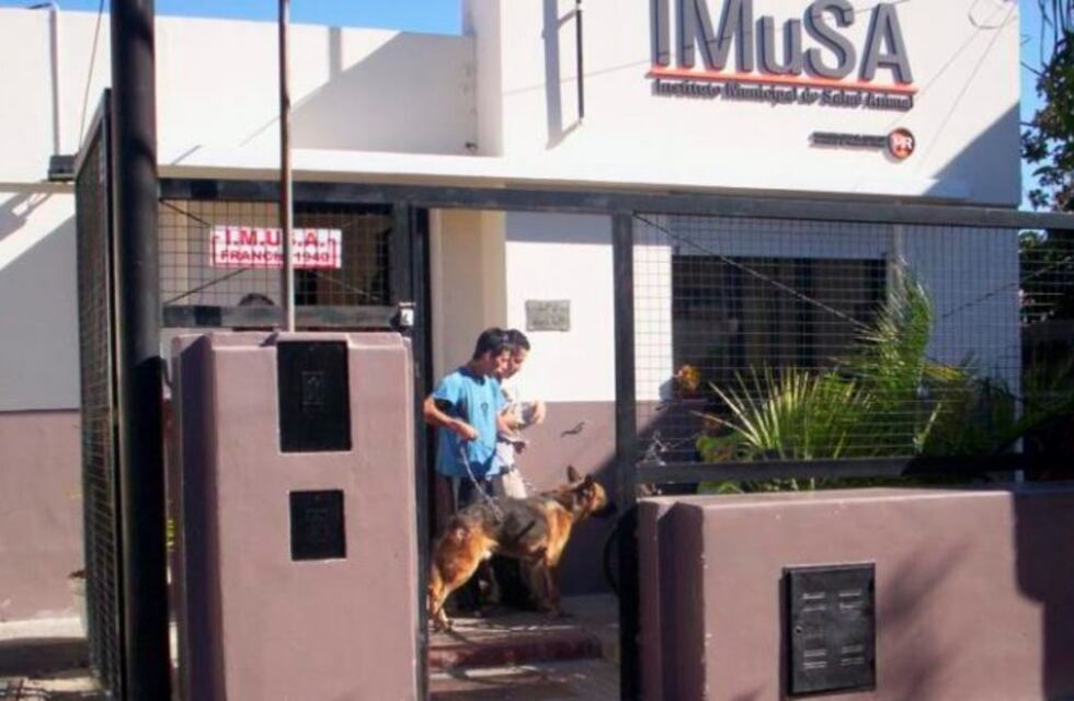 Propietarios de dos perros desnutridos serán imputados por maltrato animal