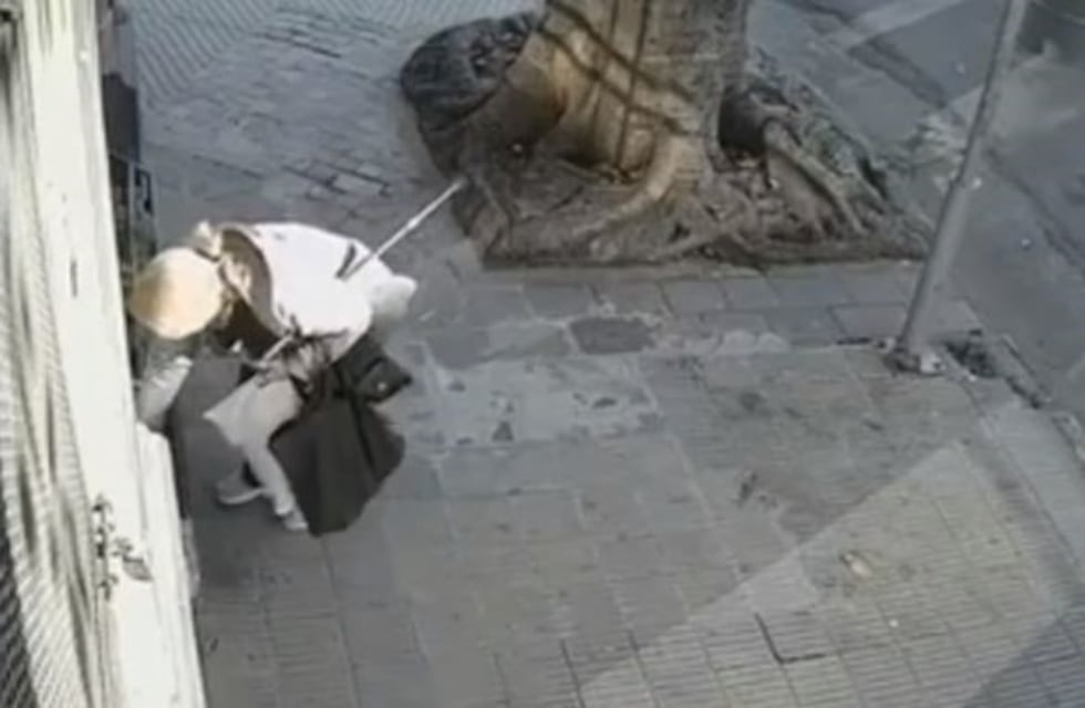 Una vecina se robó plantas de un local sin saber que estaba siendo grabada