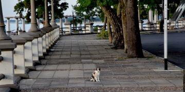 La costanera correntina es un lugar donde se permitirán las caminatas\u002E