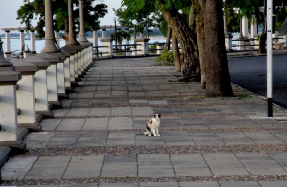 Todo lo que hay que saber para las caminatas deportivas