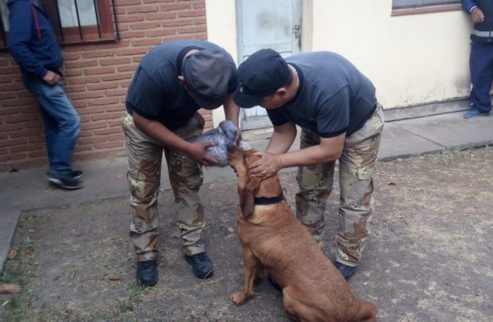 Desesperada búsqueda del abuelo que desapareció hace un mes