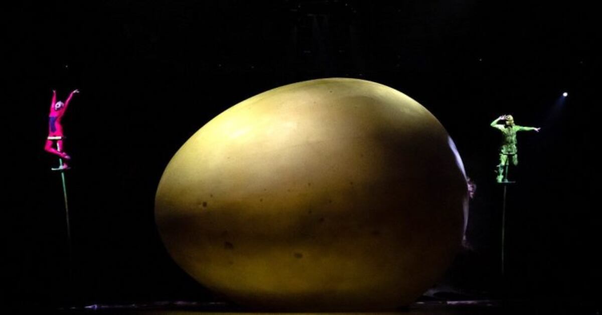 Cirque du Soleil volvió a Córdoba, con Ovo