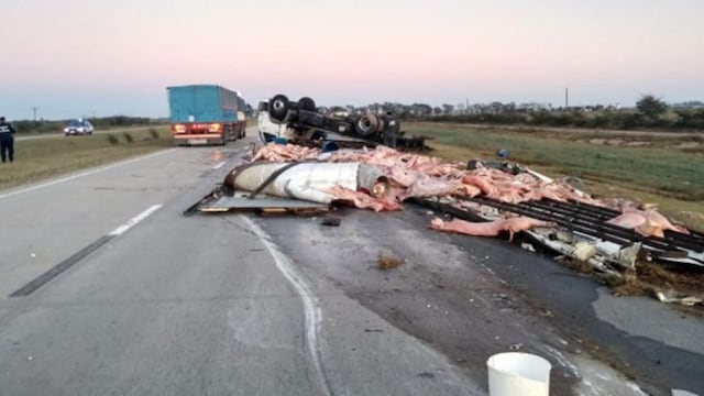 Carne tirada en la autopista\u002E