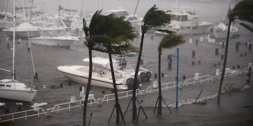 El huracán Irma hizo estragos en Miami\u002E Reuters\u002E