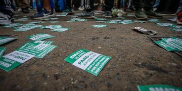 (EFE /JUAN IGNACIO RONCORONI)