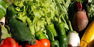 Hablemos de hortalizas, llamemos a las cosas por su nombre - Por José Luis Burba