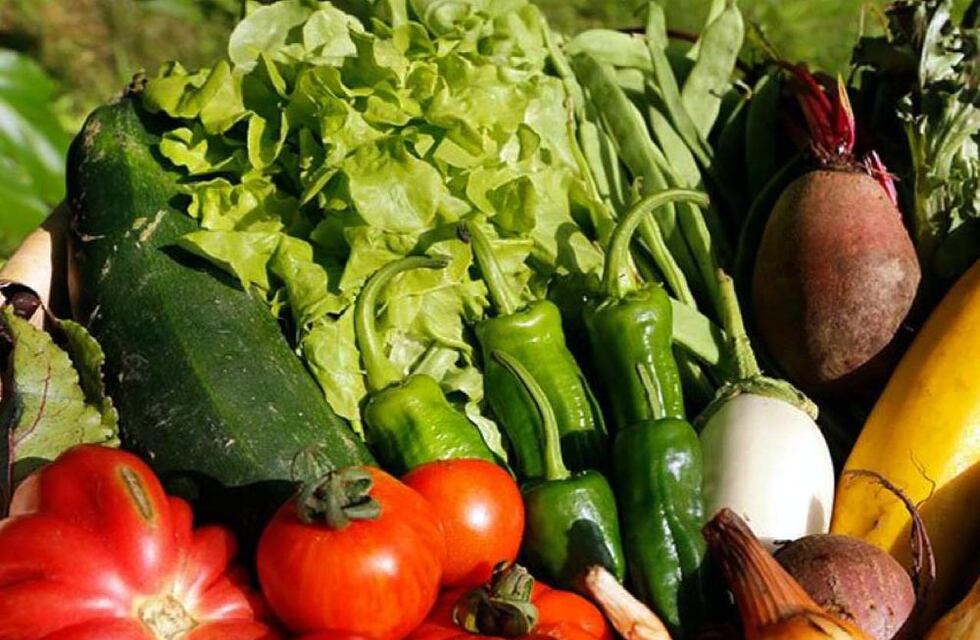 Feria de productores en Cura Brochero