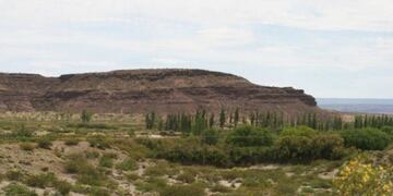 Fotografía: Gentileza diario LM neuquén\u002E