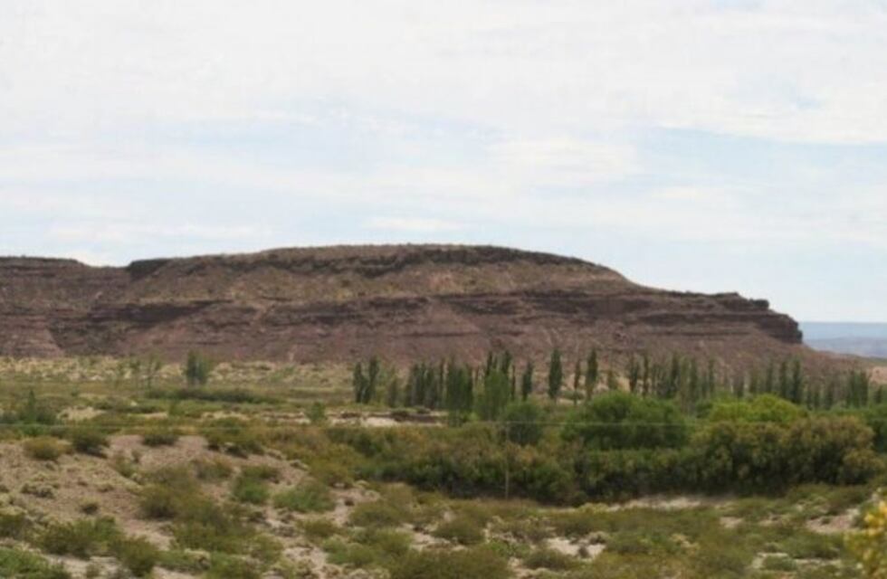 Covunco Abajo: niño murió aplastado por tierra mientras jugaba