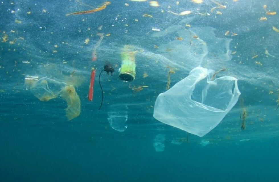 Campaña de Gestión Ambiental por el uso de bolsas plásticas