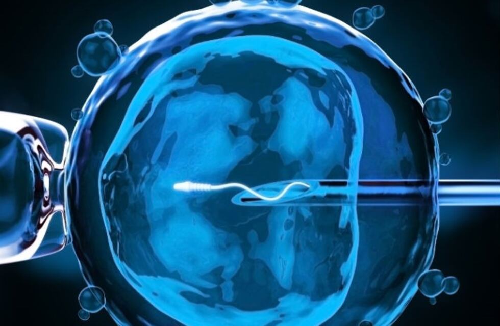 Mamá por donación, una alternativa posible