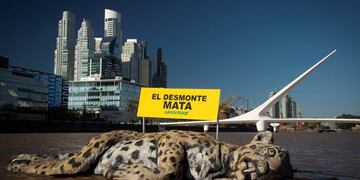 Greenpeace lanzó un yaguareté en Puerto Madero en protesta por los desmontes ilegales en el Chaco\u002E