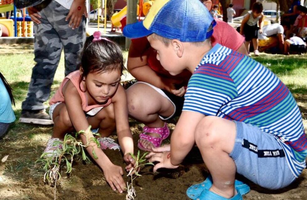 Los chicos de Patio Abierto plantaron árboles y flores en la plaza Padre Joaquín
