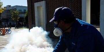Fumigan en Rosario para prevenir el dengue\u002E (@munirosario)