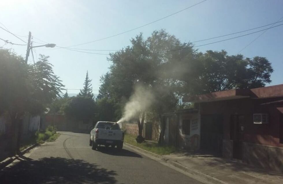 Dengue: continúan realizando trabajos de fumigación para evitar la propagación del mosquito