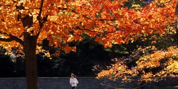 Travel Trip Autumn Anytime - ** FILE ** In this Nov\u002E 7, 2005 file photo, a jogger is framed by trees covered in fall leaves while running through New York's Central Park\u002E (AP Photo/Mary Altaffer) nueva york eeuu otoño por central park gente haciendo ejercicio eeuu clima comienzo otoño