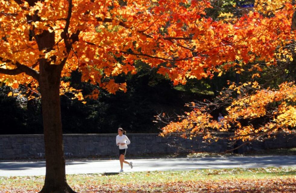 Llegó el otoño: bajas temperaturas y lluvias