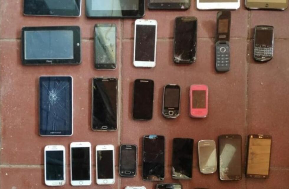 Allanamientos en Carlos Paz: secuestraron celulares y plantas de marihuana