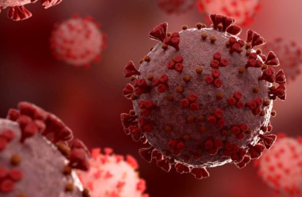 Covid-19: Falleció una paciente recuperada y hay cinco nuevos contagios en La Rioja