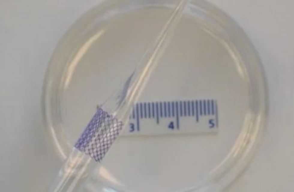 Parche inyectable repara el tejido de órganos dañados