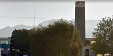 Planta Arisco La Rioja