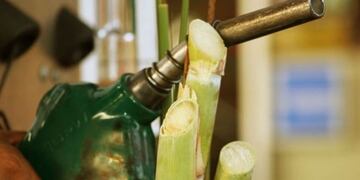 El precio del Bioetanol cayó y desde el sector azucarero están preocupados\u002E