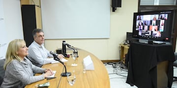 Videoconferencia de Luis Castellano con Jardines de Infantes