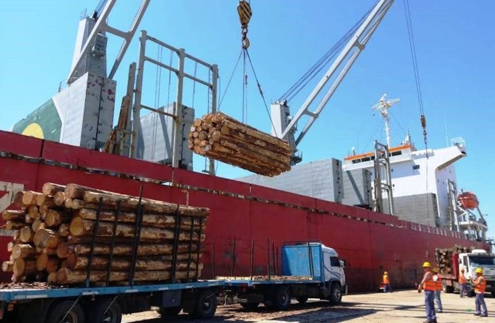 Partió el primer buque con exportación de madera de eucalipto argentino a China