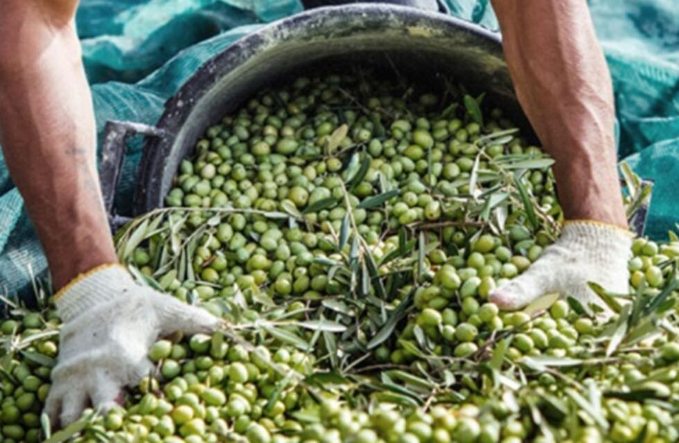 Una mujer salteña escapó y denunció condiciones de trabajo esclavo en San Juan