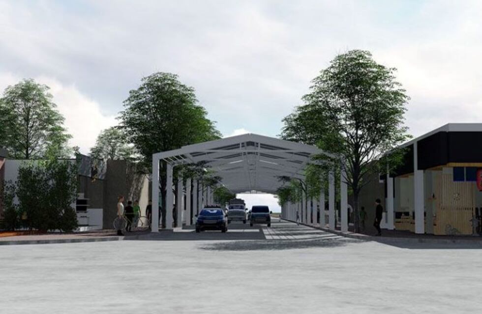 Proponen ponerle techo a una calle del centro de Santa Rosa