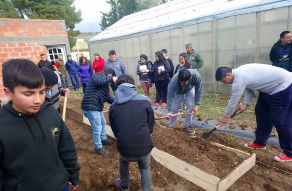 Los Antiguos: taller sobre el cultivo de frutilla