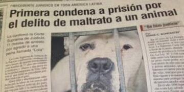 Maltrato animal (enbocadetodoshd)