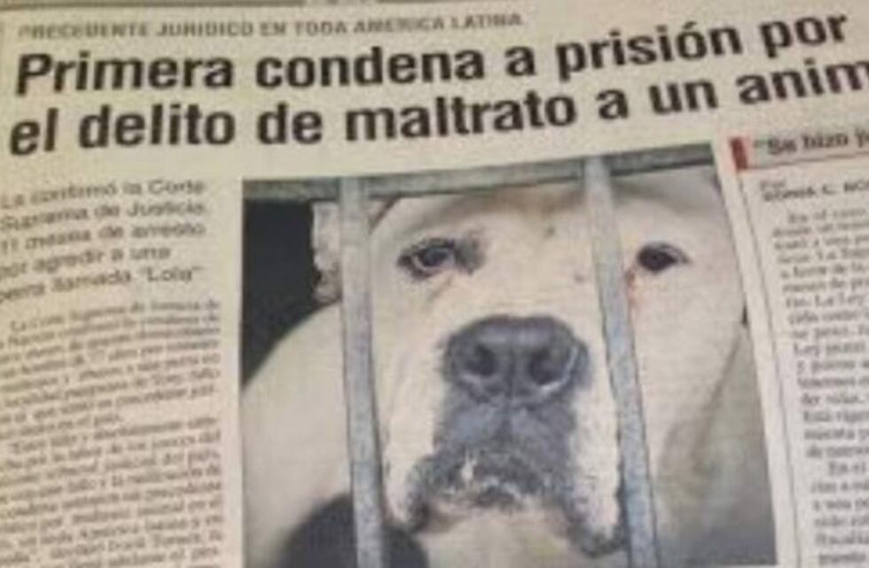 Charla sobre Maltrato Animal en el Concejo Deliberante de Santa Rosa