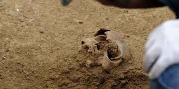 El cráneo fue hallado en San Juan al 2100\u002E