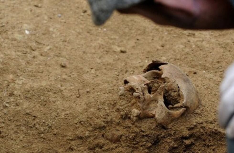 Antropólogos forenses analizan el patio donde fue hallado un cráneo en busca de más restos óseos